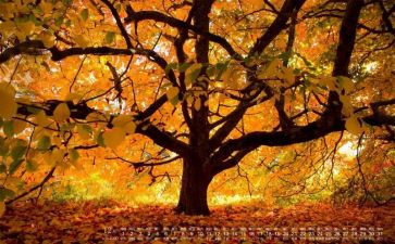 班级12月工作总结5篇