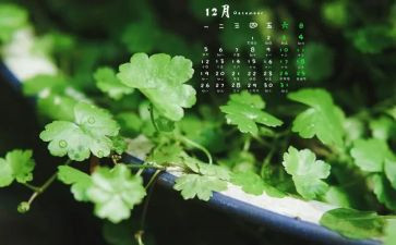 12月工作心得体会6篇