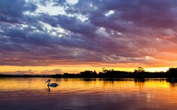 学生会11月总结6篇