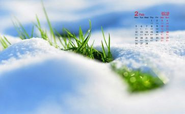 小班2月份月计划7篇