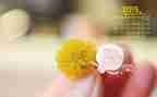 物业2月工作计划6篇