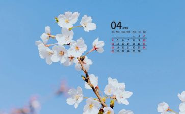 安全工作4月工作计划8篇
