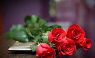 520医院活动方案优质5篇