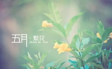 幼师5月总结6篇