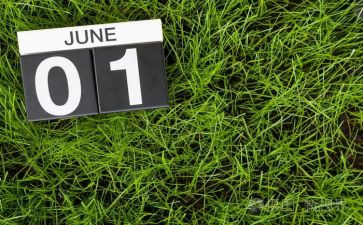 6月份教学总结7篇