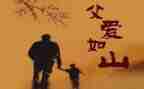 感恩爸爸的作文5篇