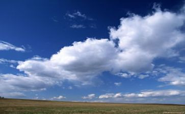 白色污染调研报告6篇