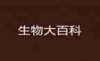 生物必修三教案5篇