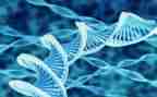 生物老师教学计划优秀8篇