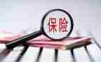 2024年保险公司年终总结精选7篇