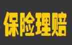 某保险的工作计划最新5篇