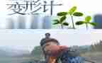 小学六年级作文变形记范文6篇
