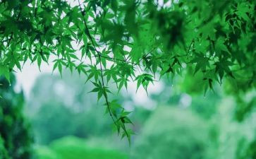 爱不能等待的读后感6篇