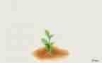 在中成长作文优秀8篇