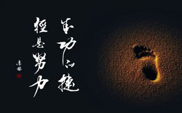 成功的收获作文精选6篇