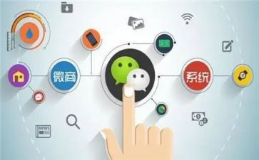 程序报告总结6篇