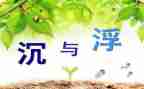 大班教案沉与浮活动反思5篇
