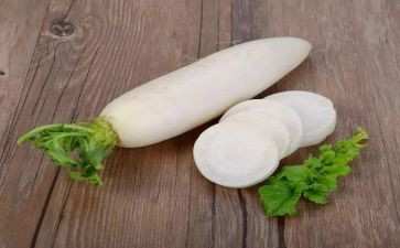 吃萝卜的教案推荐7篇