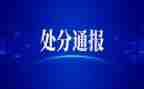 抽处分撤销申请书最新5篇