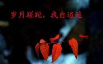 从新开始从心开始作文5篇