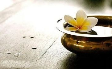 假期得与失作文600字7篇