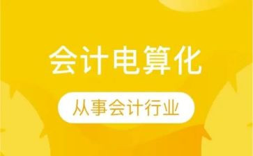 电算化会计的心得体会8篇