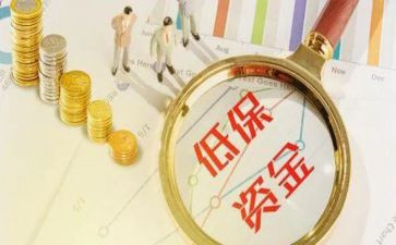 低保工作总结推荐5篇