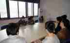 房产销售顶岗实习总结6篇