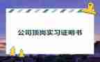 计算机学生顶岗实习总结6篇