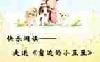 豆豆兵的读后感精选8篇