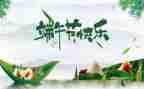 关于写端午的作文精选5篇