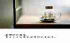 有关放飞梦想的演讲稿参考8篇