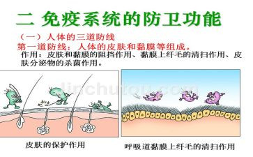 防线演讲稿7篇