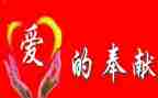 护士奉献的演讲稿8篇