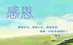 感恩心得作文参考8篇