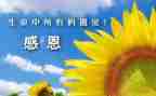 最感谢的人作文600字最新5篇