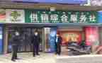 2024年乡镇供销社工作总结7篇