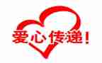 公益活动的活动总结8篇