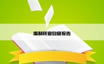 机构核查自查报告7篇