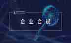 保险公司合规岗工作总结5篇