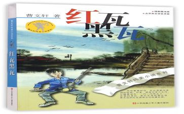 红瓦黑瓦读书心得5篇