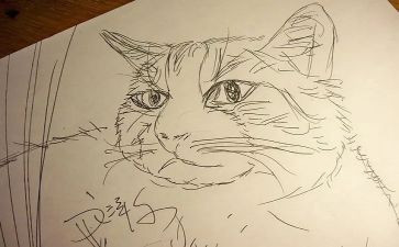 微电影《画》观后感通用7篇