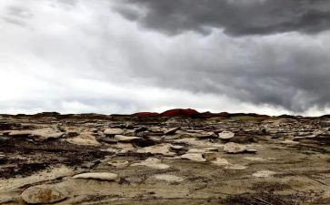 “荒野求生”作文5篇