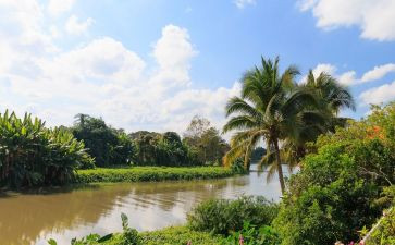 环境调查报告的范文模板5篇