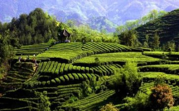 写环境的优秀作文优秀7篇