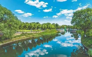 校园环境的调查报告优秀7篇