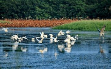 写环境的优秀作文8篇