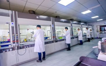 2024年化验室年终工作总结推荐6篇