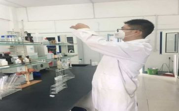 2024年化验工作总结精选7篇