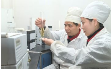 化验工作总结精选6篇